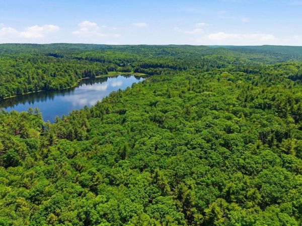 0 Carter Pond Road, Petersham, MA 01366