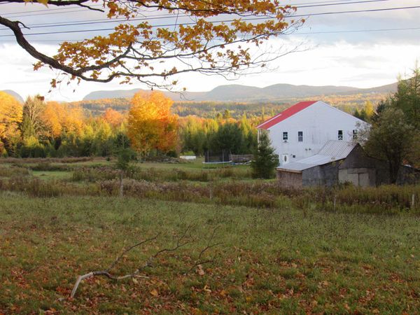 786 Dutton Brook Lane, Brownington, VT 05860