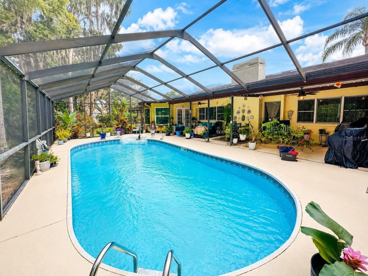 9801 Didrikson Drive , New Port Richey, FL 34655 Photo