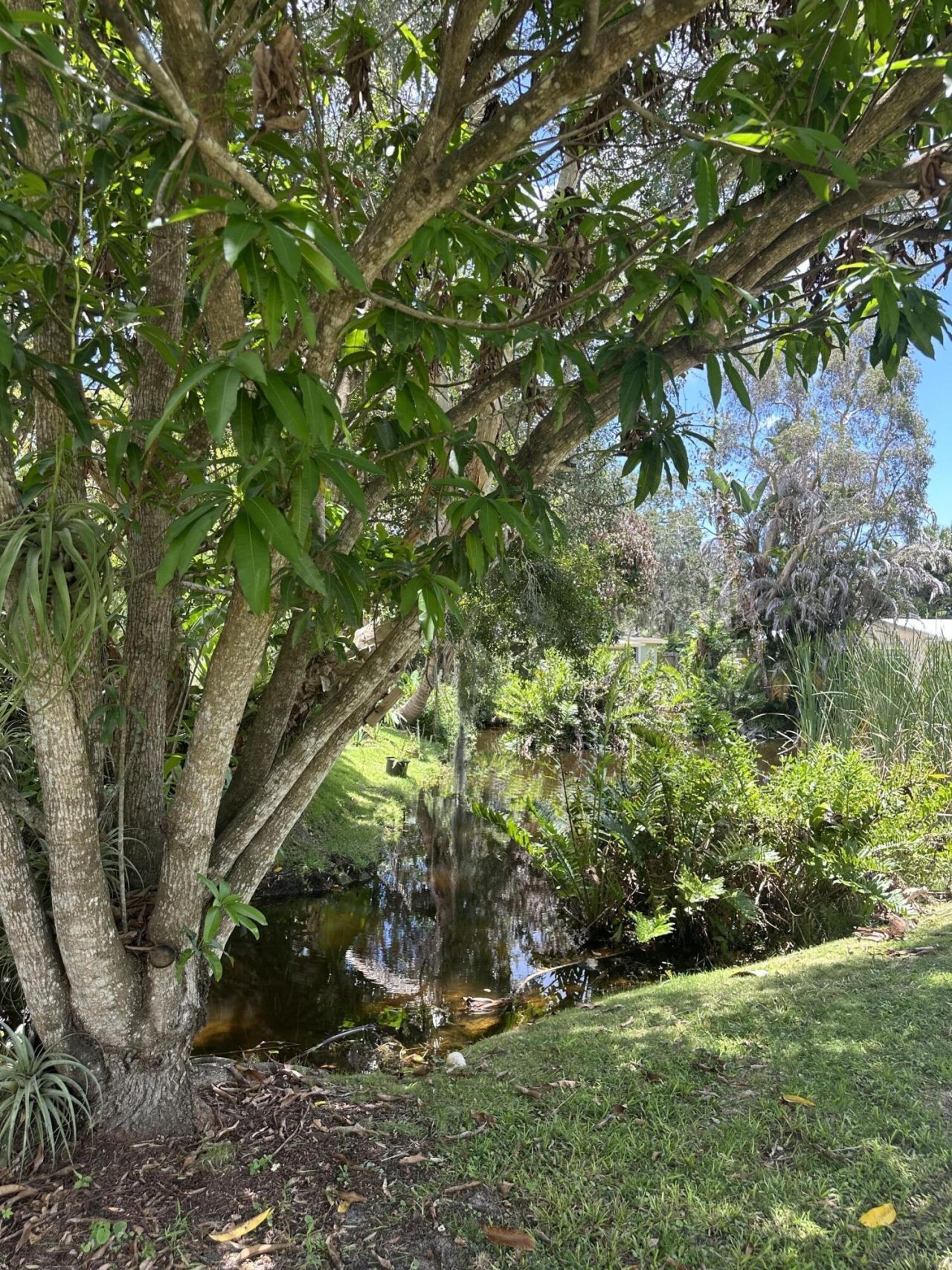 450 28th Court, Vero Beach, FL 32968 Photo