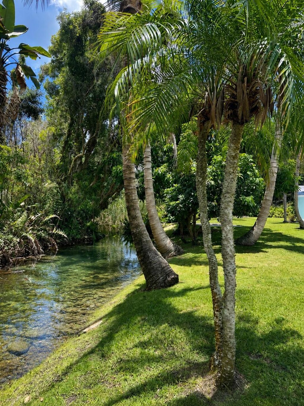 450 28th Court, Vero Beach, FL 32968 Photo