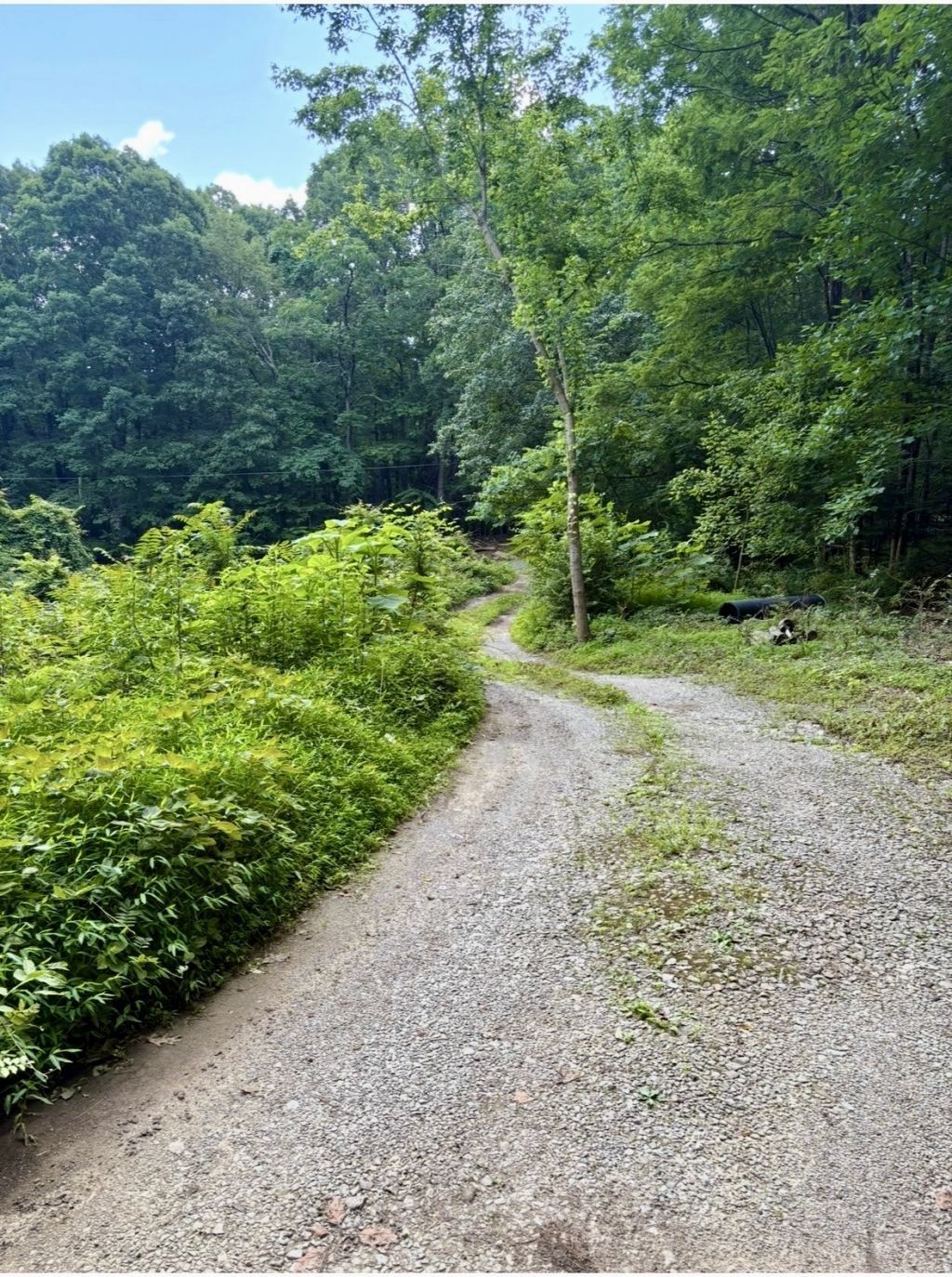 1431 Roarks Cove Rd , Sewanee, TN 37375 Main Photo
