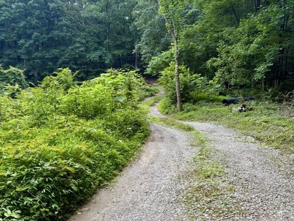 1431 Roarks Cove Rd , Sewanee, TN 37375