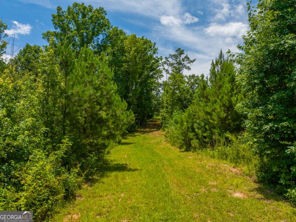 29.3 ACRES Cochran Road, Madison, GA 30650