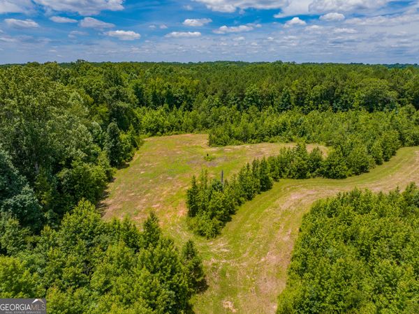 47.7 ACRES Cochran Road, Madison, GA 30650