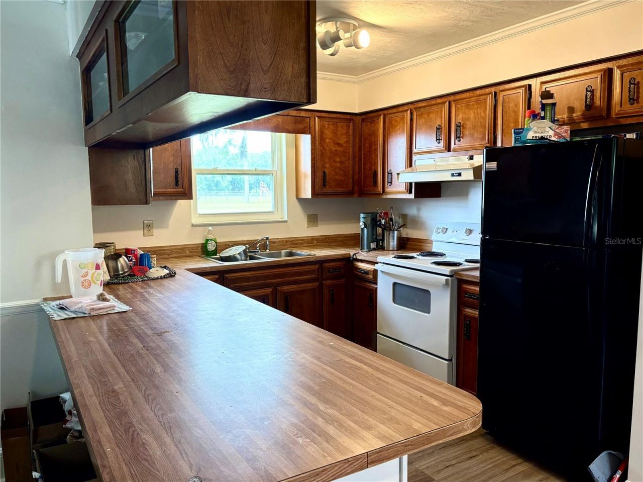 507 Governor Avenue Ne, Branford, FL 32008 Photo