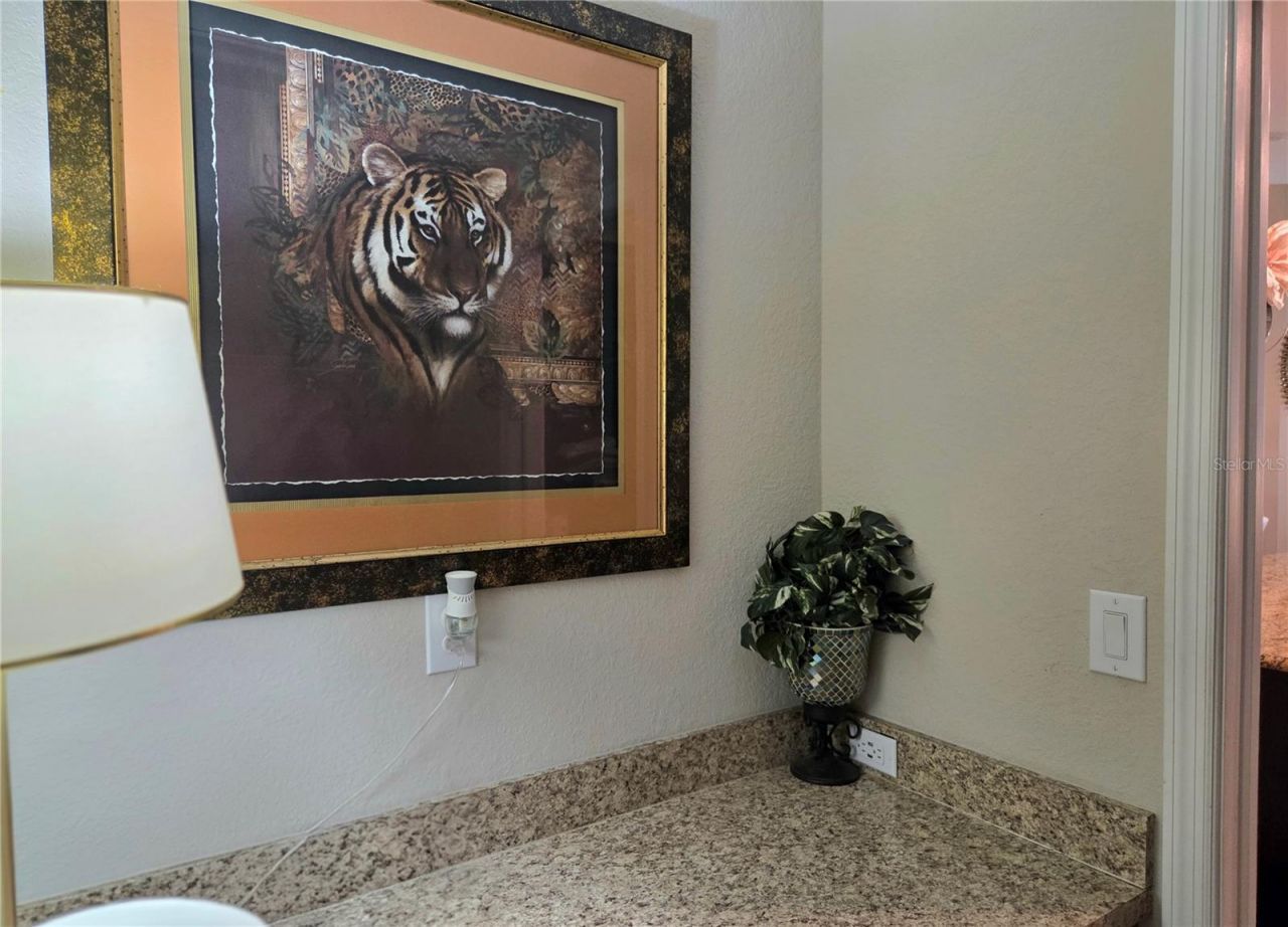 6324 165th Drive E, Parrish, FL 34219 Photo
