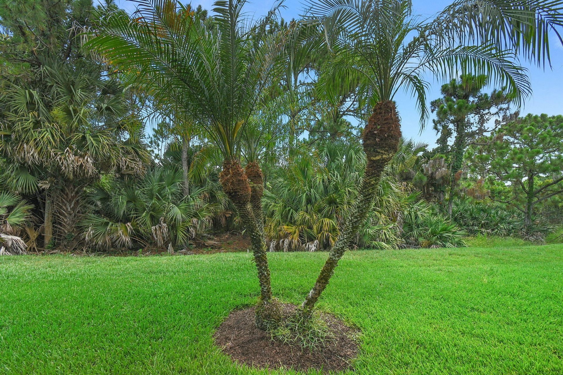 9088 SE La Creek Court, Hobe Sound, FL 33455 Photo