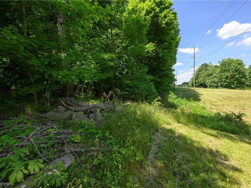 4609 Barnsleigh Drive, Unit 47, Akron, OH 44333 Photo 3