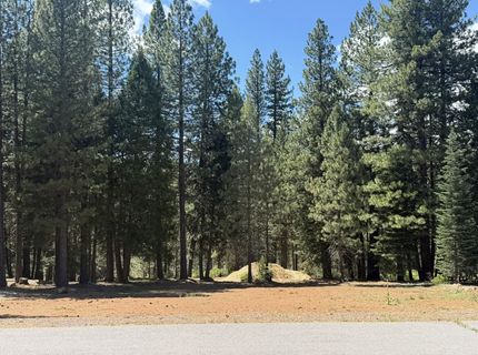 472 Bailey Creek Drive, Lake Almanor, CA 96137 Photo
