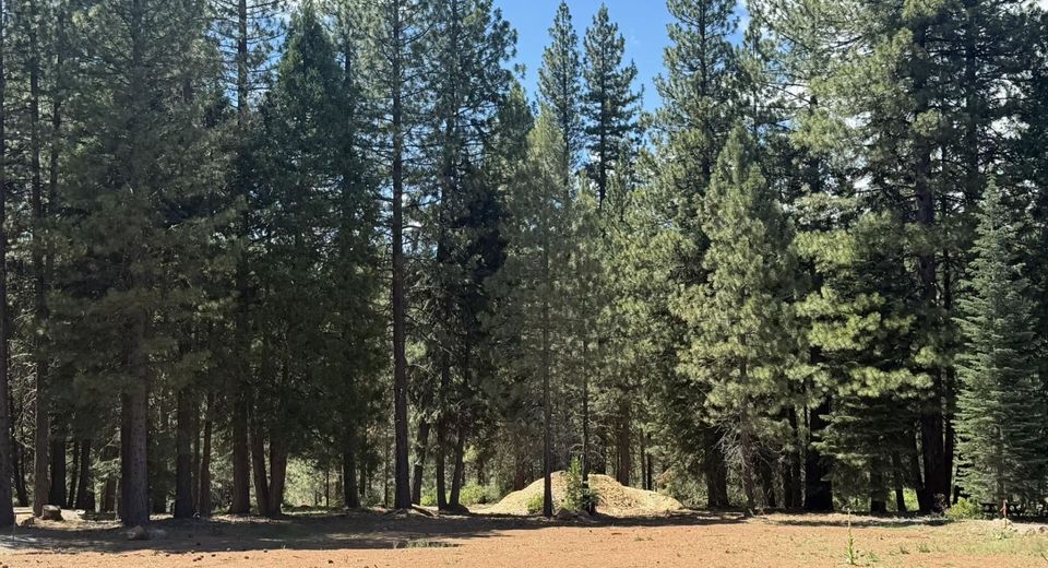 472 Bailey Creek Drive, Lake Almanor, CA 96137 Photo