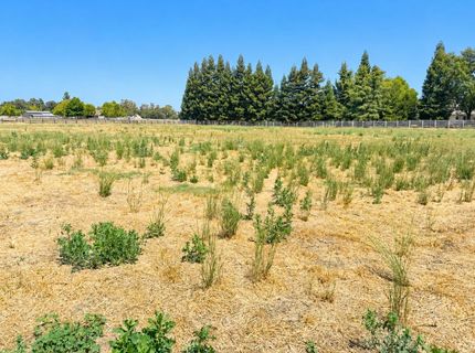 8781 Dillard Rd, Wilton, CA 95693 Photo