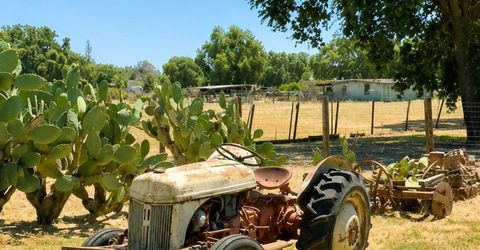 8781 Dillard Rd, Wilton, CA 95693 Photo