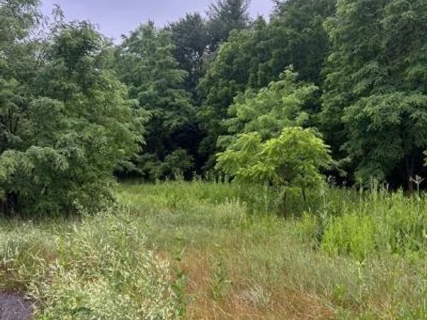 OLD US HIGHWAY 322 , Unit LOT 4, MILROY, PA 17063