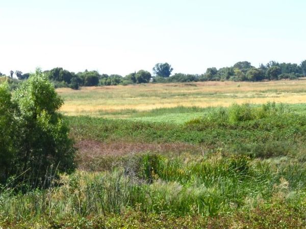 Knightsen, CA 94548