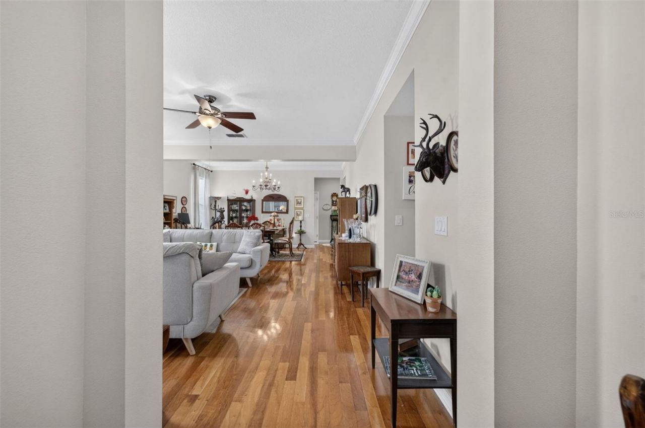 1113 Tapestry Drive, Celebration, FL 34747 Photo
