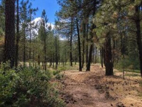 1213 FUMI Cir, Kettle Falls, WA 99141