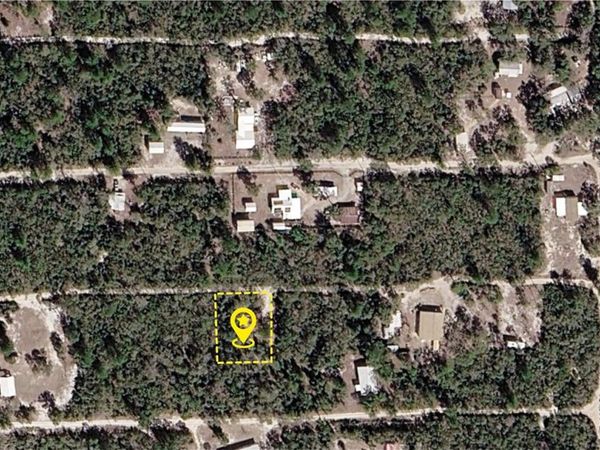 XXX NE 234TH LANE , FORT MC COY, FL 32134