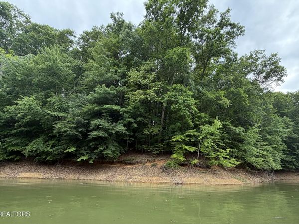 Old Chisholm Tr, Dandridge, TN 37725
