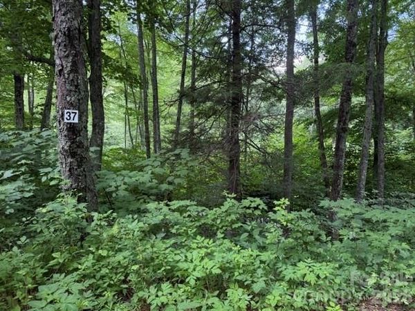 Lot 37 Odalu Trail , Maggie Valley, NC 28751