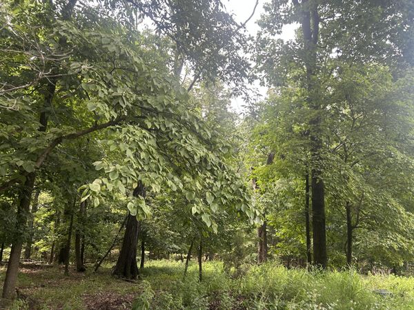 Pheasant Place , Afton, OK 74331