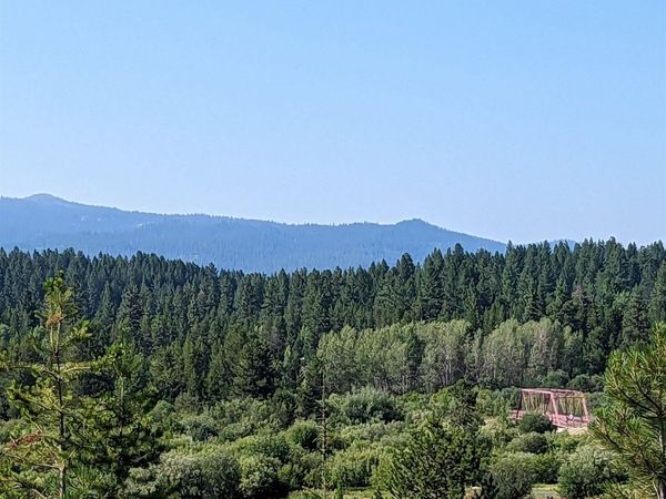 106 Saddle Ct., McCall, ID 83638