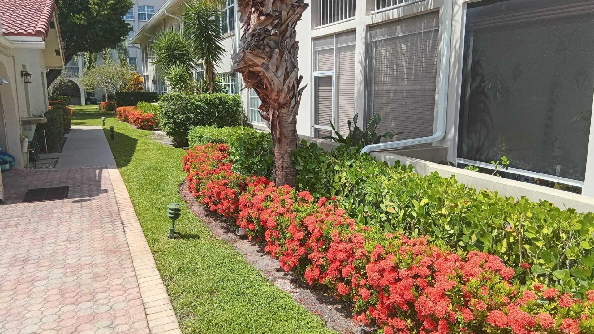250 NE 20th Street, Unit 3080, Boca Raton, FL 33431 Photo