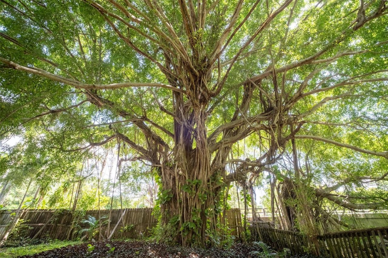 698 NW 7th Ave , Boca Raton, FL 33486 Photo