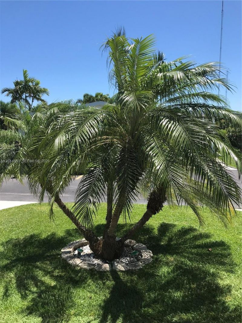 5125 SW 26th Ct , Unit ., Hollywood, FL 33023 Photo