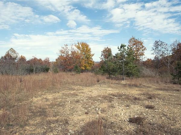 0 Highway 49, Piedmont, MO 63957