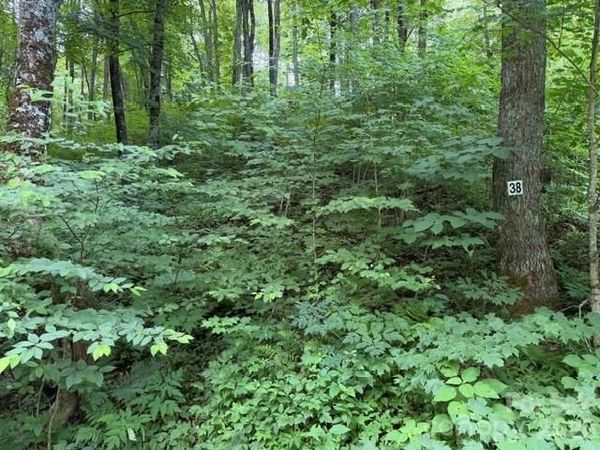 Lot 38 Yanasa Trail , Maggie Valley, NC 28751