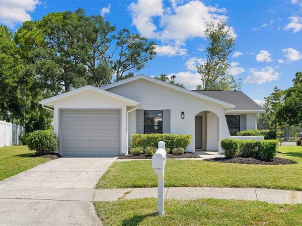 1206 SAWGRASS COURT , OLDSMAR, FL 34677