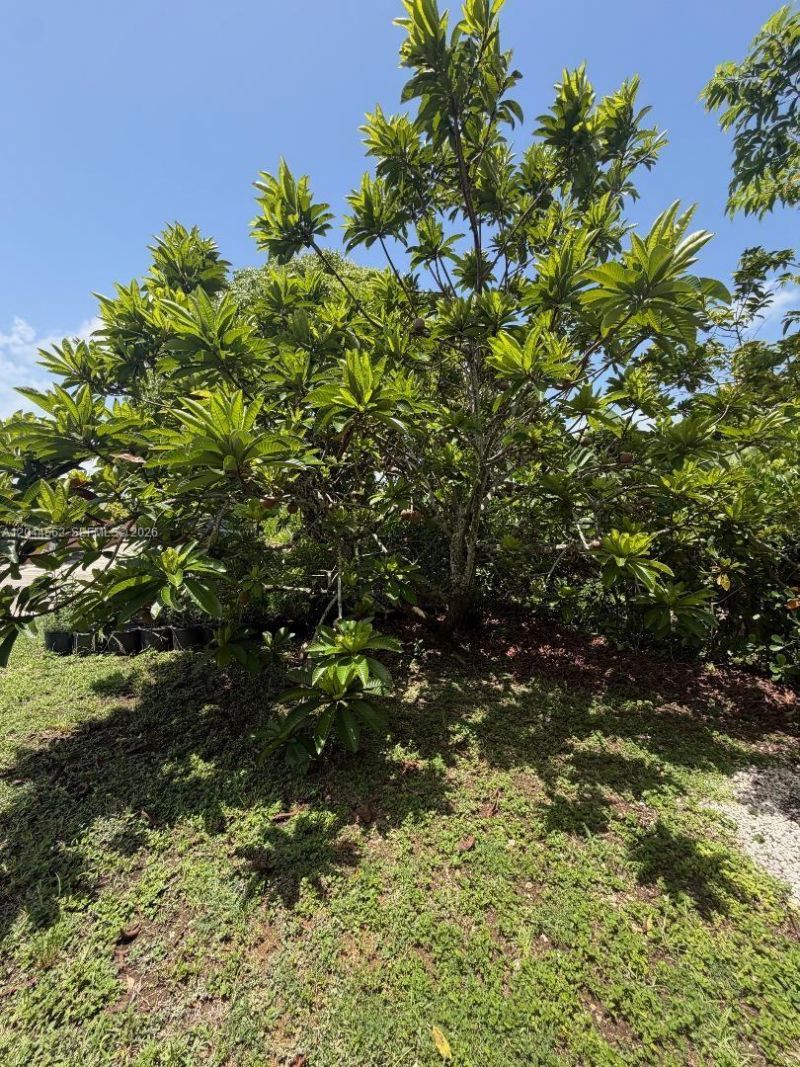 20791 SW 240th St , Homestead, FL 33031 Photo