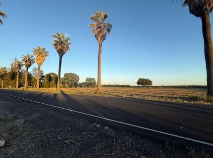 4000 E Acampo Rd, Acampo, CA 95220 Photo