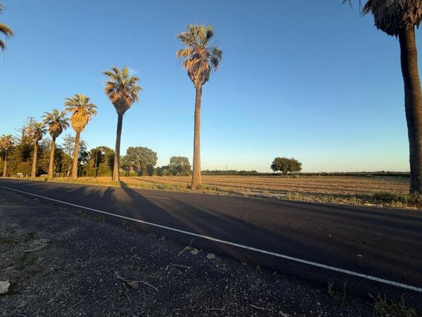 4000 E Acampo Rd, Acampo, CA 95220