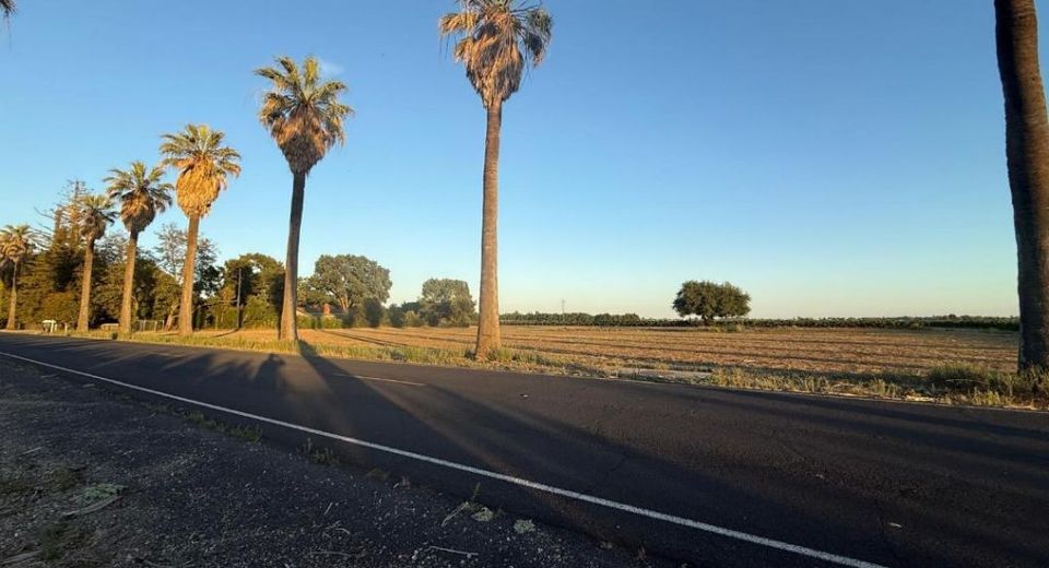 4000 E Acampo Rd, Acampo, CA 95220 Photo