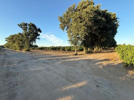 4000 E Acampo Rd, Acampo, CA 95220 Photo