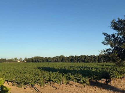 4000 E Acampo Rd, Acampo, CA 95220 Photo