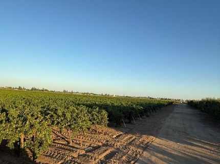 4000 E Acampo Rd, Acampo, CA 95220 Photo