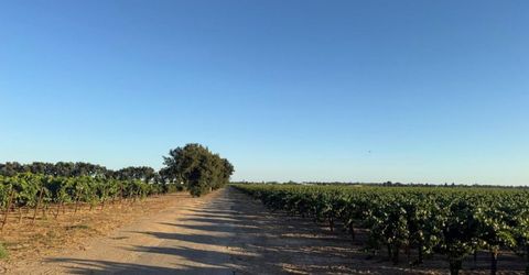 4000 E Acampo Rd, Acampo, CA 95220 Photo