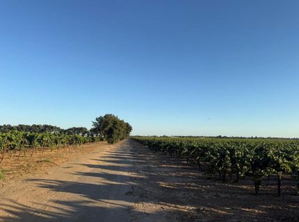 4000 E Acampo Rd, Acampo, CA 95220 Photo
