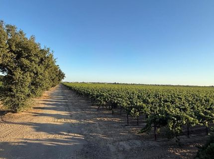 4000 E Acampo Rd, Acampo, CA 95220 Photo