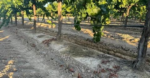 4000 E Acampo Rd, Acampo, CA 95220 Photo