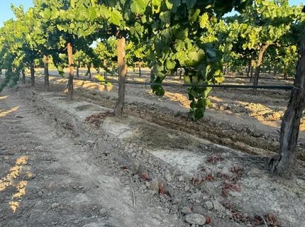 4000 E Acampo Rd, Acampo, CA 95220 Photo