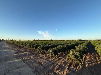 4000 E Acampo Rd, Acampo, CA 95220 Photo