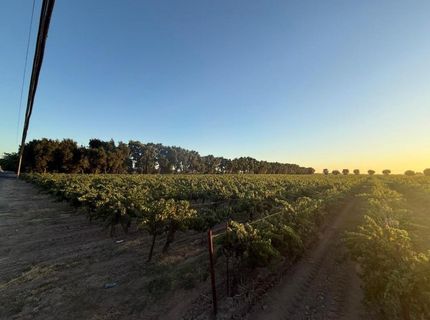 4000 E Acampo Rd, Acampo, CA 95220 Photo