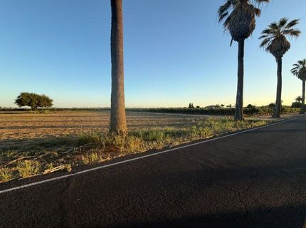4000 E Acampo Rd, Acampo, CA 95220 Photo
