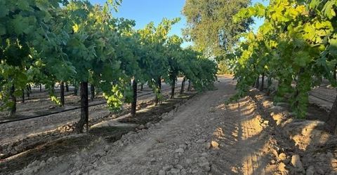 4000 E Acampo Rd, Acampo, CA 95220 Photo