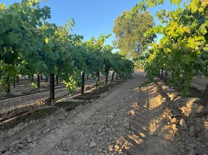 4000 E Acampo Rd, Acampo, CA 95220 Photo