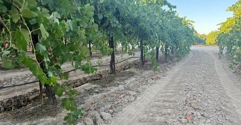 4000 E Acampo Rd, Acampo, CA 95220 Photo